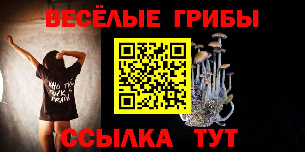 Благодарный  Галлюциногенные грибы Cubensis  хочу   Вход с VPN 